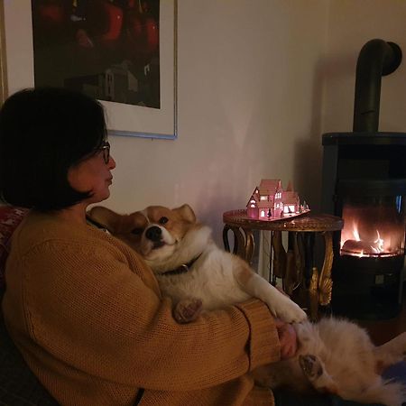 Eifel Ferienhaus Luna Ohlenhard 外观 照片