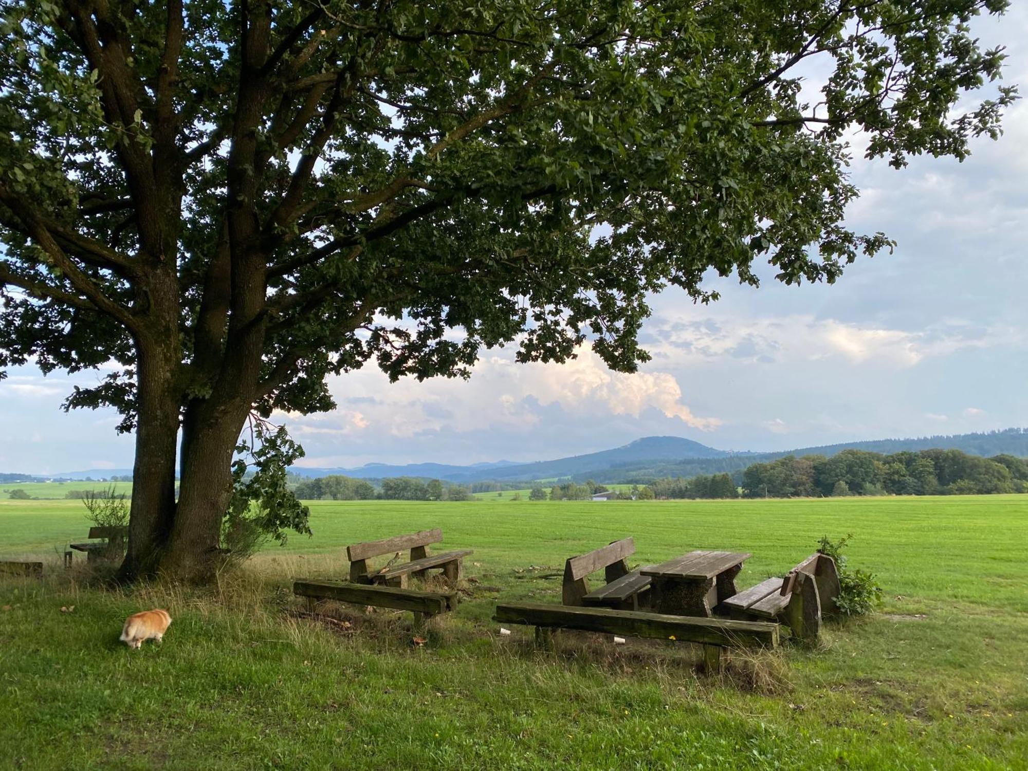 Eifel Ferienhaus Luna Ohlenhard 外观 照片